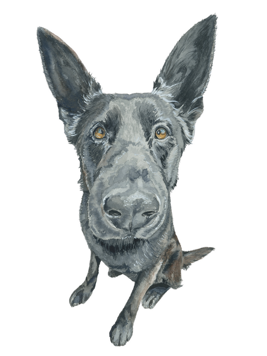 Custom Watercolor Animal Portrait 8 x 10in