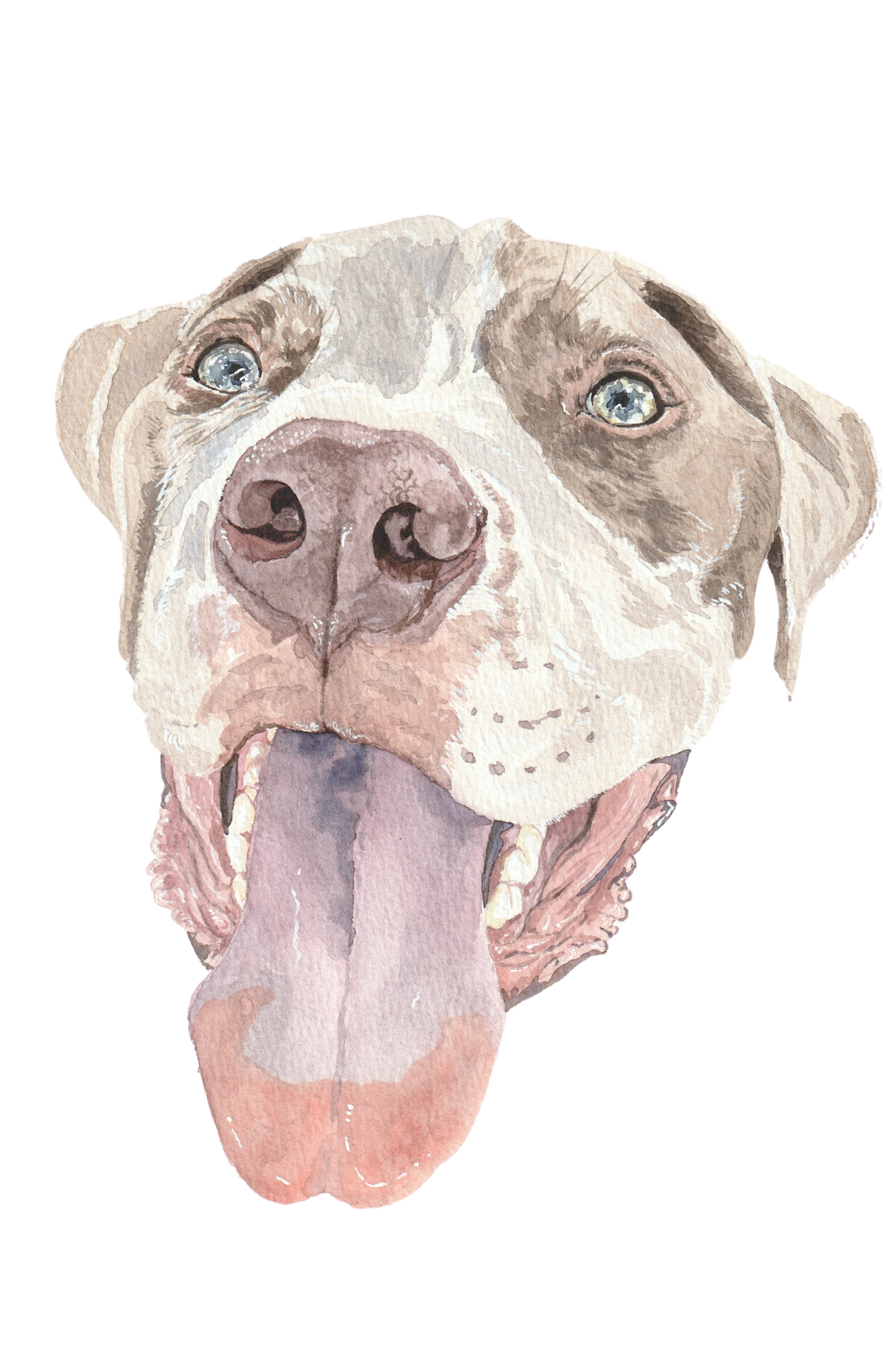 Brown and white pitbull mix watercolor animal painting